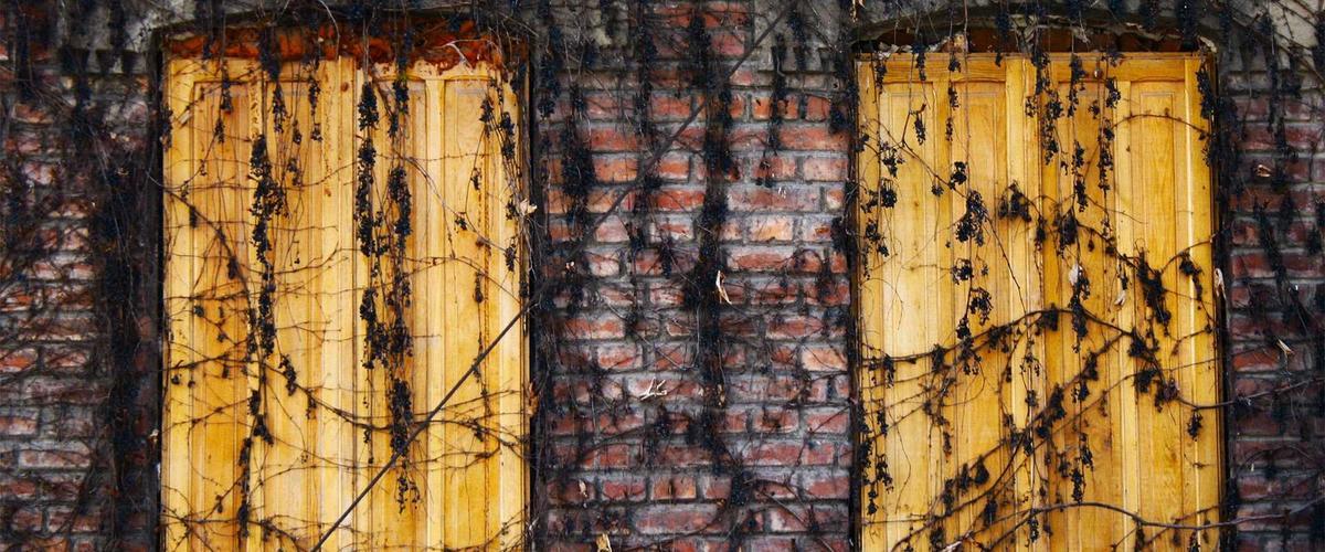 Workshop: Advanced Glazing Techniques