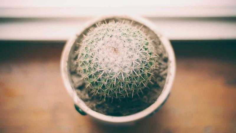 Zero Defect and Zero Effect Course